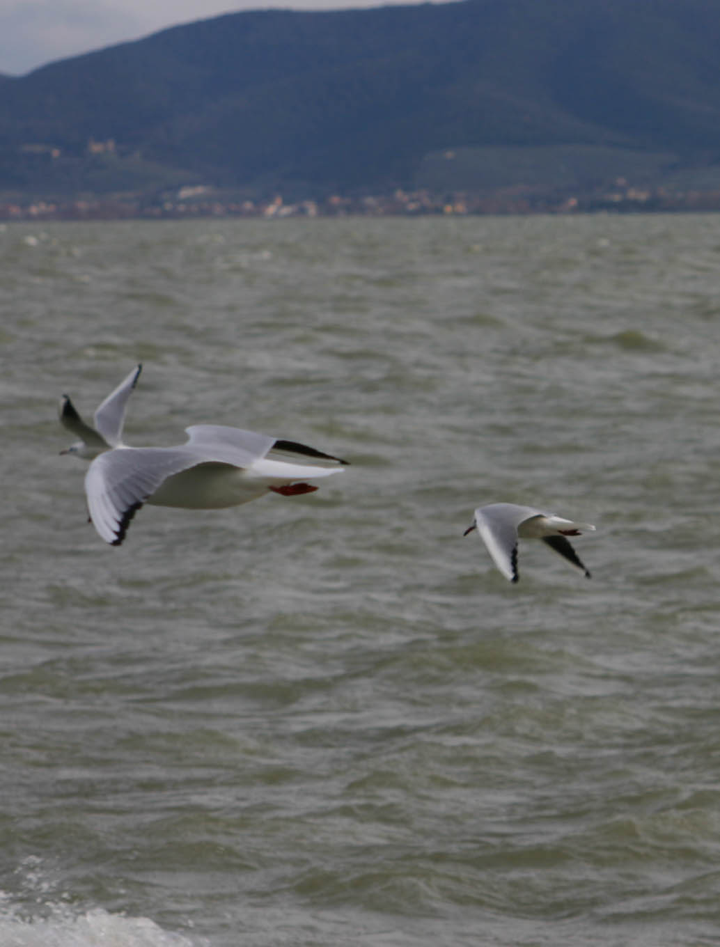 Concorso Fotografico La magia del lago 2017 - Porte aperte al trasimeno